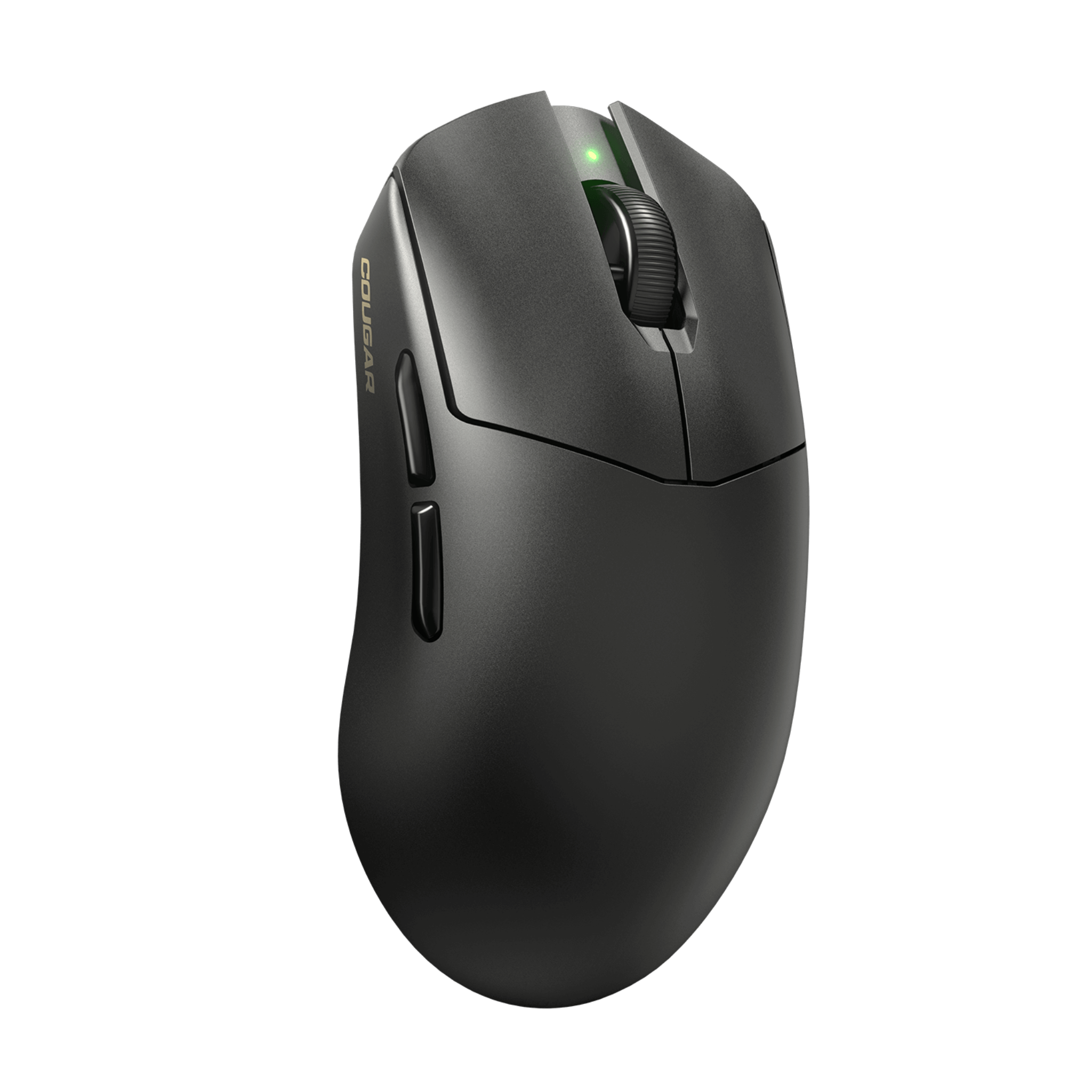 SOURIS