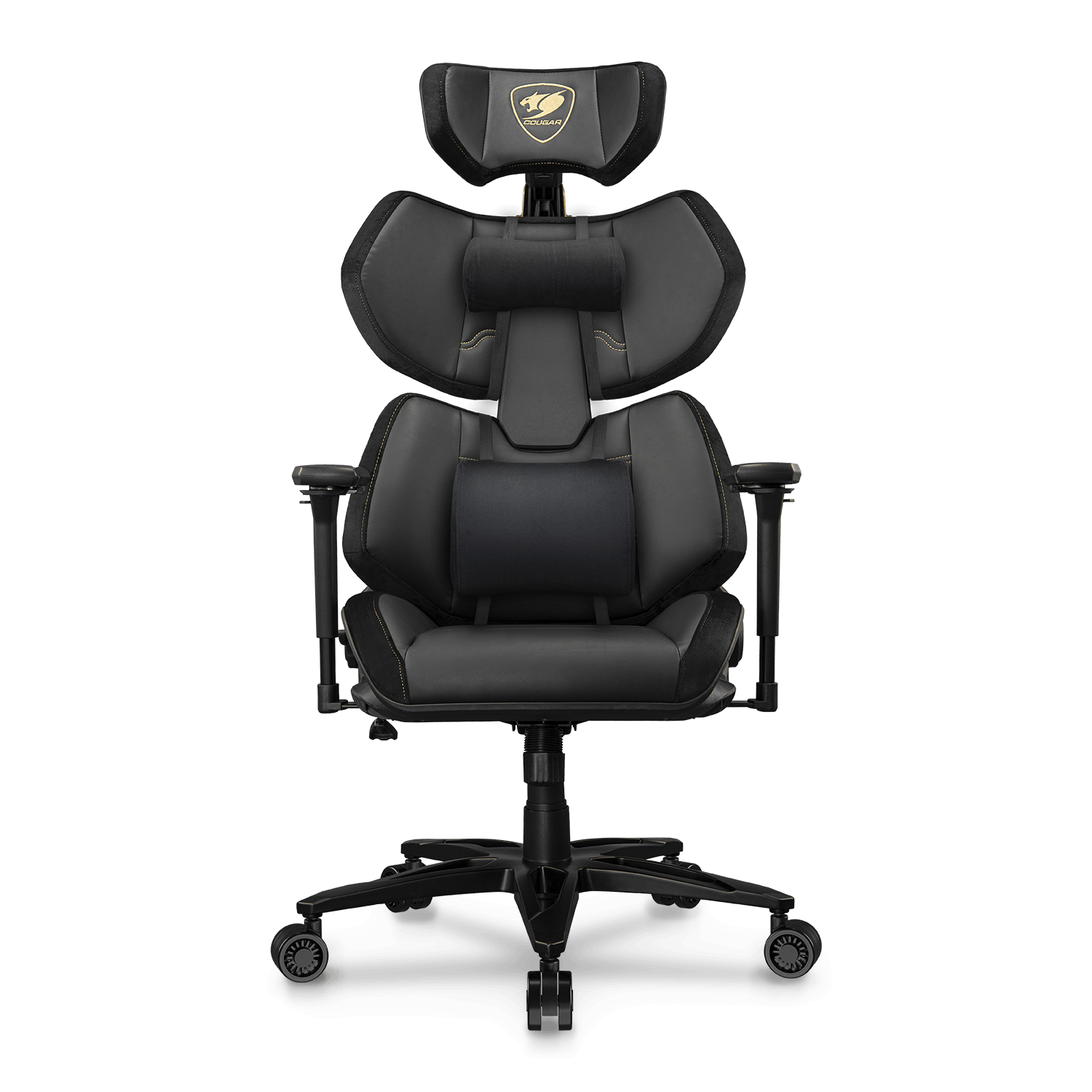 TERMINATOR ELITE GOLD