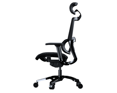 ARGO BLACK