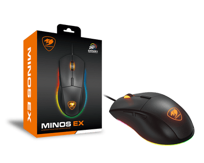 MINOS EX