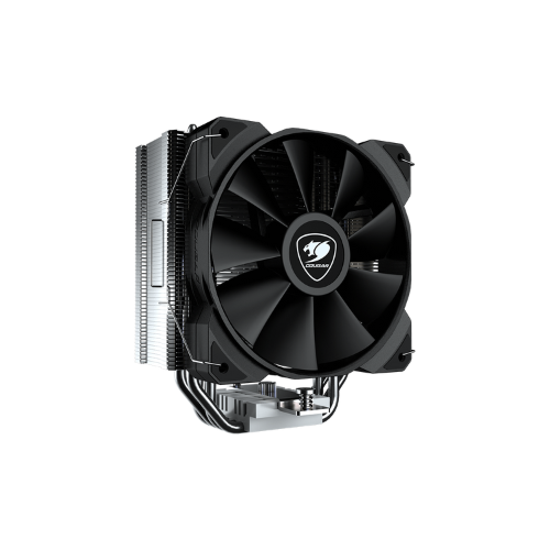 FORZA 50 ESSENTIAL