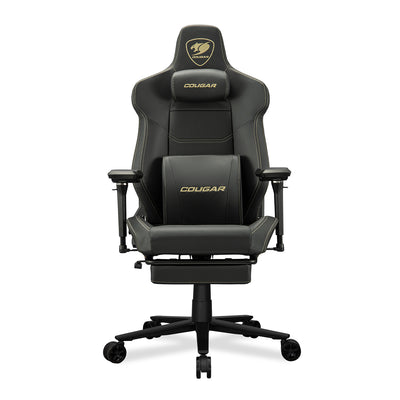 ARMOR EVO M GOLD
