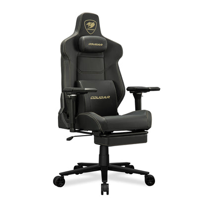 ARMOR EVO M GOLD
