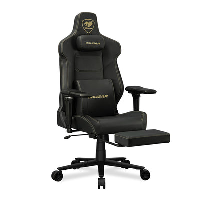 ARMOR EVO M GOLD