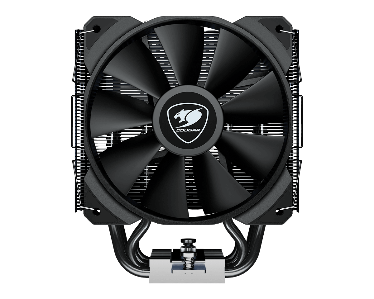 FORZA ESSENTIAL