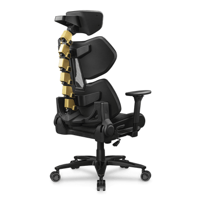 TERMINATOR ELITE GOLD