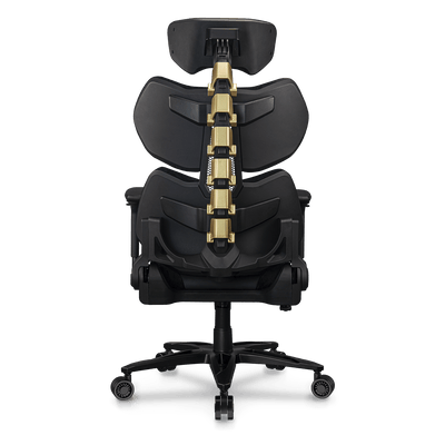 TERMINATOR ELITE GOLD