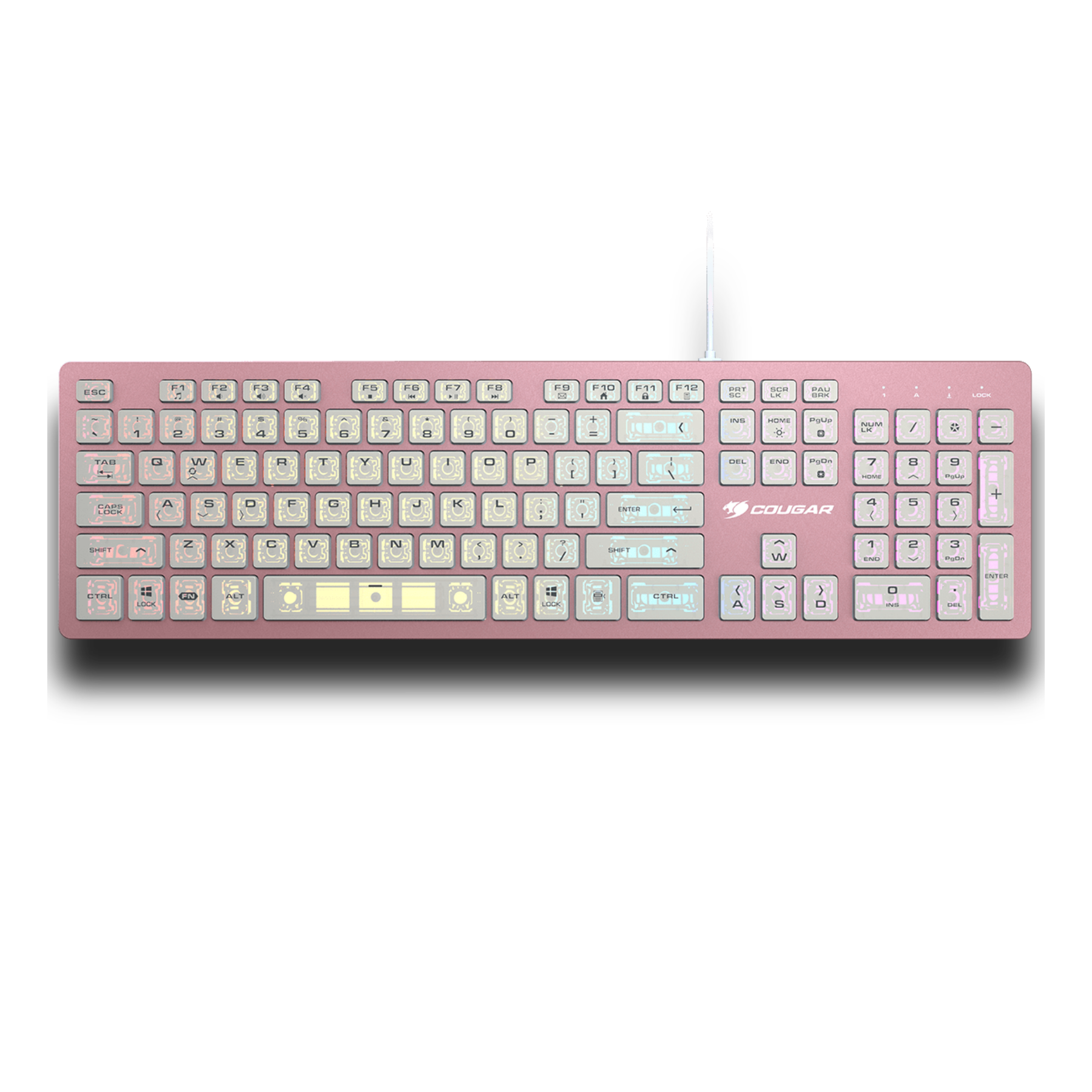 VANTAR AX PINK